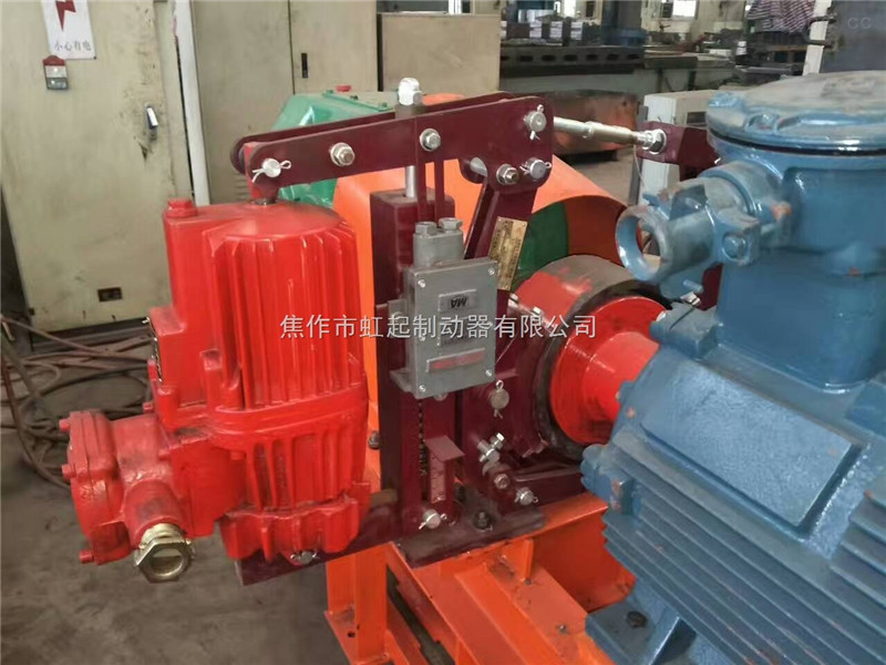 Explosion proof electric hydraulic thruster BED